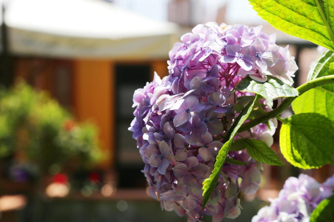 Vietri Casa Rosaria Amalfi Coast Bed & Breakfast エクステリア 写真