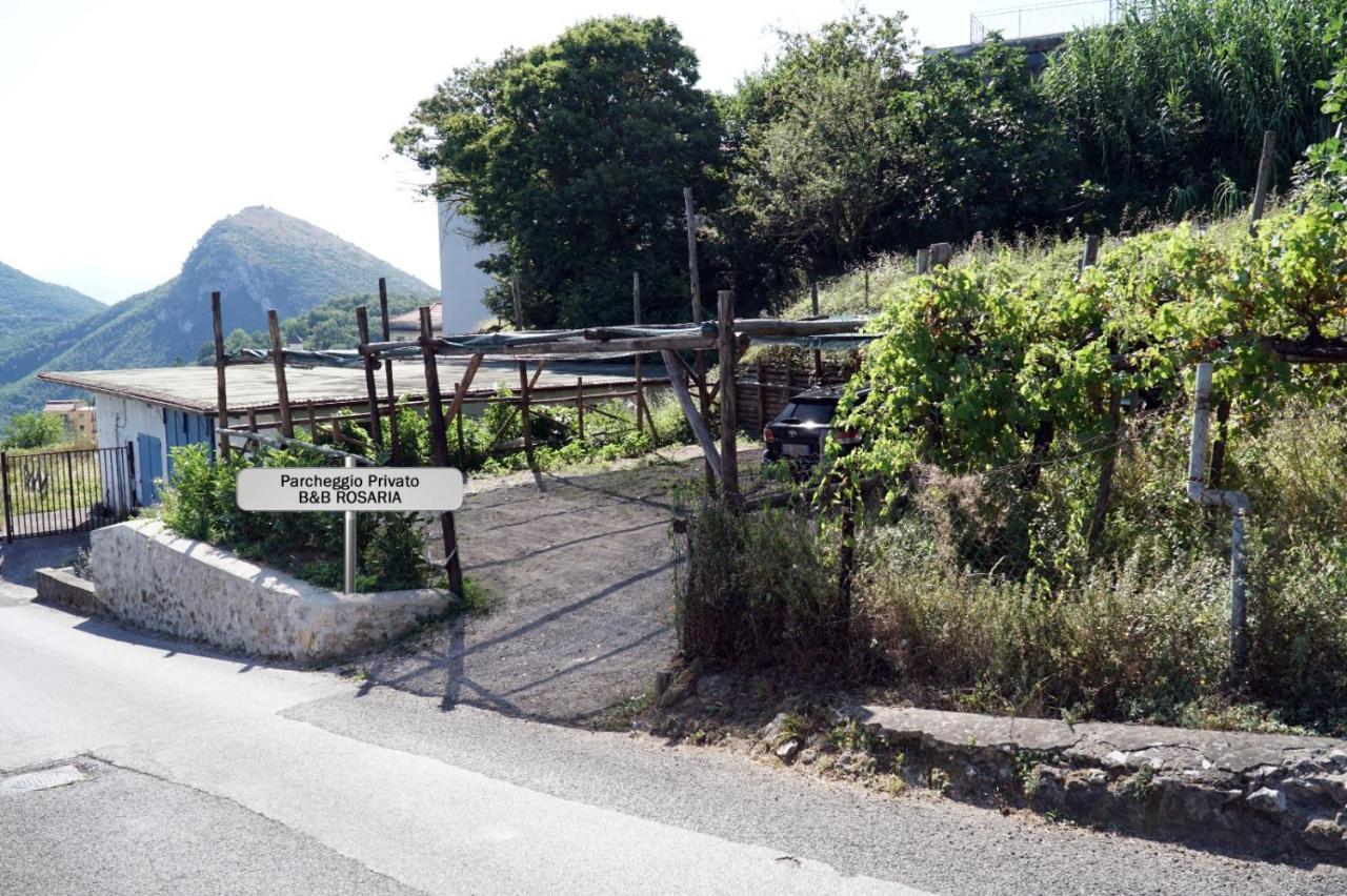 Vietri Casa Rosaria Amalfi Coast Bed & Breakfast エクステリア 写真