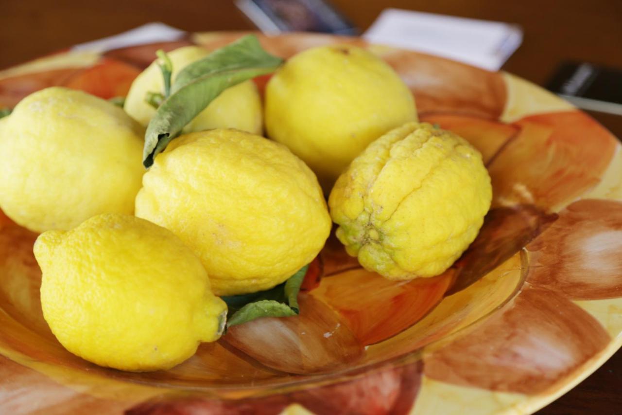 Vietri Casa Rosaria Amalfi Coast Bed & Breakfast エクステリア 写真